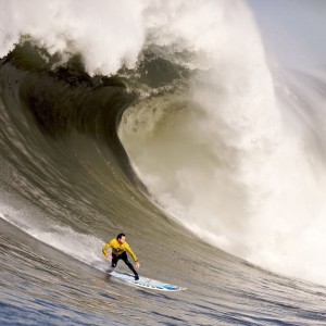 开云入口-_湖人全力拼搏，争夺季后赛席位_，湖人 季后赛